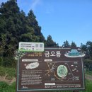 금오름농장 | 11월 제주 여행 3일차 | 금오름