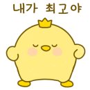 상지대효태권도 이미지