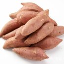 성인 요가 A 이미지