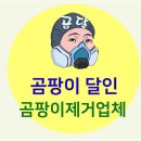 금천 | 벽지 곰팡이 제거 재발 방지는 기본 서울 금천구 후기