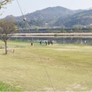 영강파크골프장 네이버블로그