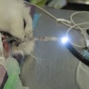 메디컬트리 이미지