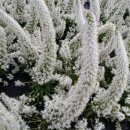 황토농장 이미지