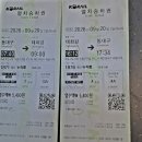 꽃들이 잠시 쉬는 계절에 몸은 점점 무거워 지고! - 울산시 명촌 물억새밭을 나와 불광산에 올라 울산수목원으로 내려서다~ 이미지
