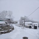 이례로-4 울산제일일보
