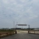 평택농협비전사업소 | 평택 이색카페 파레트 더 빈티지 솔직 후기 | 튀르키예 샌드커피 카이막 | 감성 신상카페