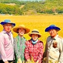 진자정육점 이미지
