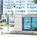 영통동 Daum카페