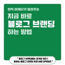 주식회사 비젼쿡 | 블로그 한 달 안에 하루 수익 10만 원 이상 버는 방법