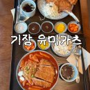 유미카츠부산 | 기장 | 월내역 토마호크카츠 떡볶카츠 솔직후기 유미카츠 기장점