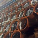 동해 최북단 고성, 난류성 어종 주 무대로 부상…‘방어’ 21.8%로 어획량 1위 이미지