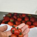 들말농장 이미지