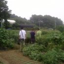 벌말농장 이미지