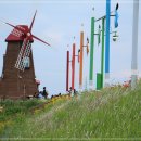 풍차언덕 이미지