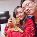 멋이란 것이 폭발한다! 서산 바버샵 "바버브로 바버샵" 찐 후기!