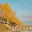 나무아래서(푸드트럭) 이미지