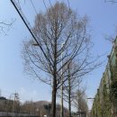 SK인천석유화학(42768) 이미지