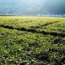 희망농장2 이미지