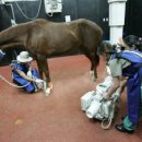 원 종합동물병원 이미지