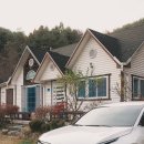 뚜벅이가 1년 넘게 기다린 스포티지 NQ5 하이브리드 출고 후기