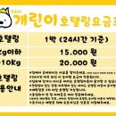 개린이 하우스 이미지