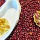 제주청년돼지 이미지