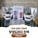 갈채 | [갈채 도라지즙] 30년 심마니의 장생도라지 진액 후기
