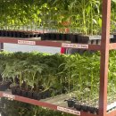 대농농약사 이미지