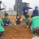 불은면사무소 이미지