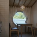 스테이치목 이미지