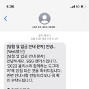 그린도그 이미지
