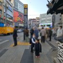 낙원상가 | 낙원악기상가 방문기 초등학생 바이올린 매장 구매 후기