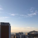 수평선부동산공인중개사사무소 이미지