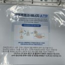 대덕고등학교 버스정류장 | 부천복부관리 스무살에 머물다 부천오정점