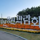 삼락생태공원 일원 행사장 이미지