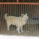 마음편한 집 이미지