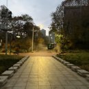 71 | 수영 일기, ep.71 - 후기 (제6회 송파구청장기 수영대회, 2025)