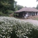 영광 매간당 고택 이미지