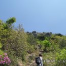 구산선문(九山禪門)중 1곳을 품었던 봉림산(정병산) 탐방 이미지