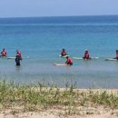 도학초등학교 이미지