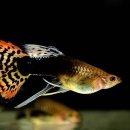 식복농장 이미지