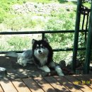 영하네민박 이미지