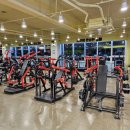 머슬뷰 짐 이미지