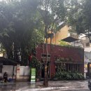 장미빛인생식당 이미지