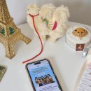 현대농장(A) 이미지