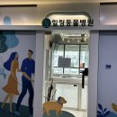 건강하게동물병원 | 힐링동물병원&amp;건강검진센터 방문후기(내돈내산리뷰)