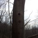 유림농장 이미지