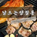 양철통 | 천안 쌍용동 맛집 날으는양철통 내돈내산 후기