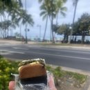 2025 하와이 day2 - 와이키키 선셋 요가(Waikiki Beach Yoga), 피코키친앤바(piko kitchen+bar), 코나...