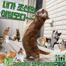 롯데리아 논산연무점 | 논산훈련소 수료식후기2